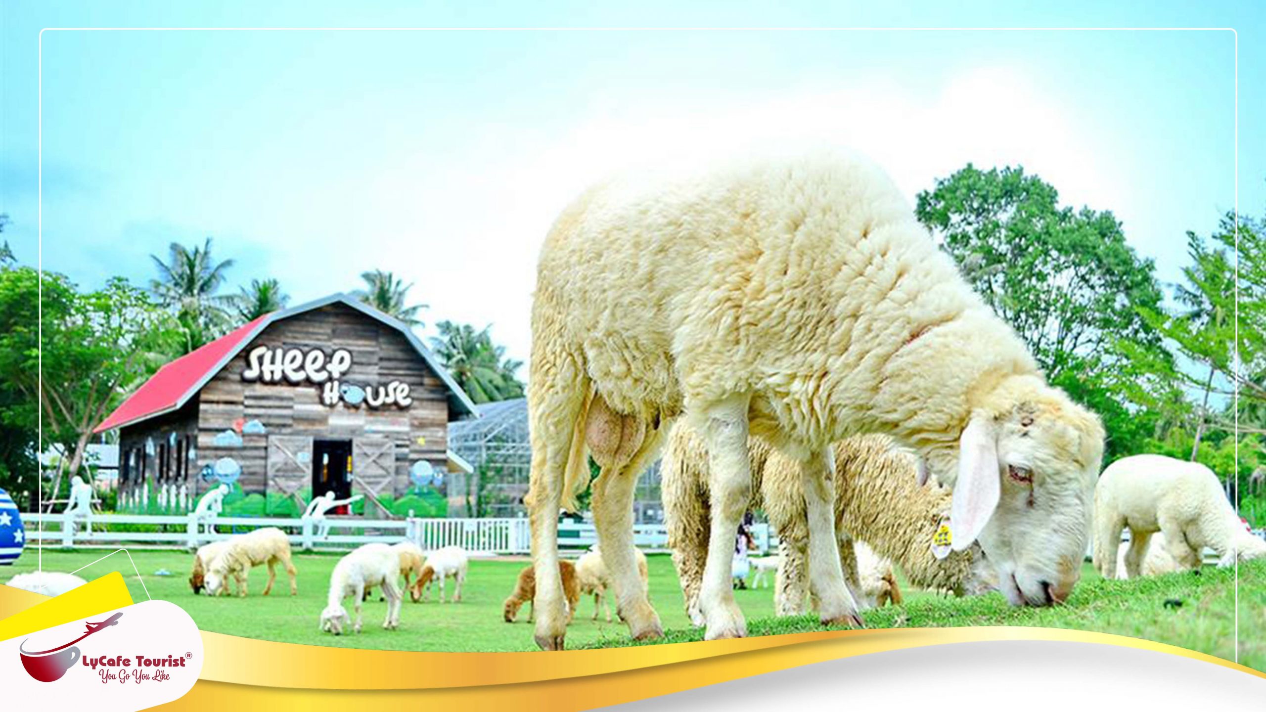  Trại cừu – Swiss Sheep Farm thái lan