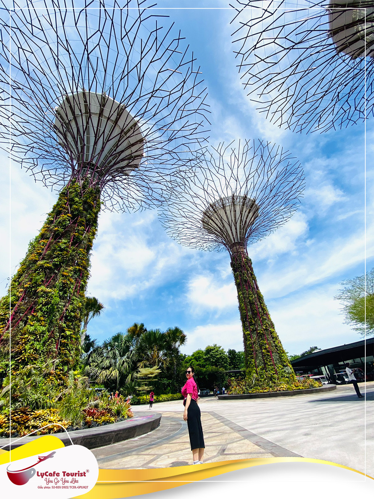 (Gardens by the Bay) - singapore